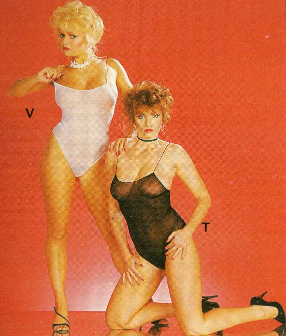 ...; 80s Babe Catalog Non Nude Seethrough Vintage 