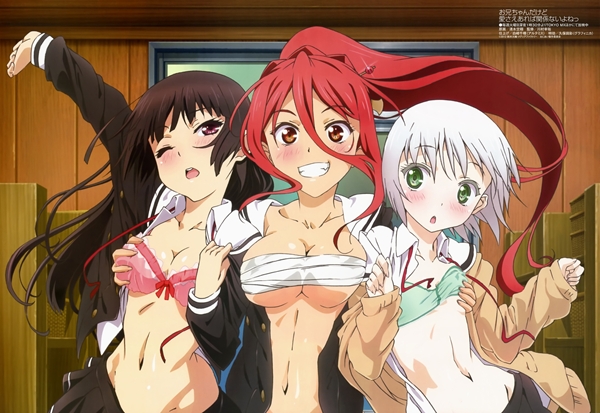 3girls-bra-breast_grab-cleavage-himenokouji_akiko-; Hentai 